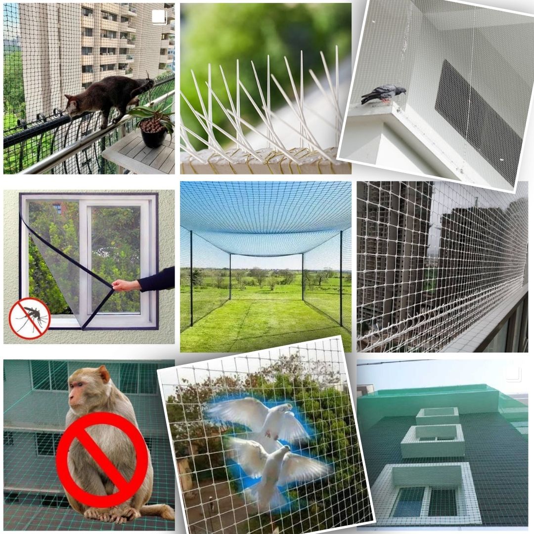 Pigeon Safety Nets Fixing Cost in Pune | Fast Installation