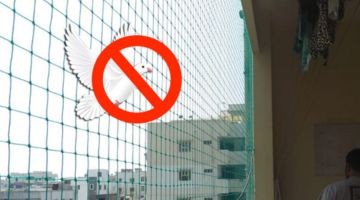 Pigeon Safety Nets in Pune